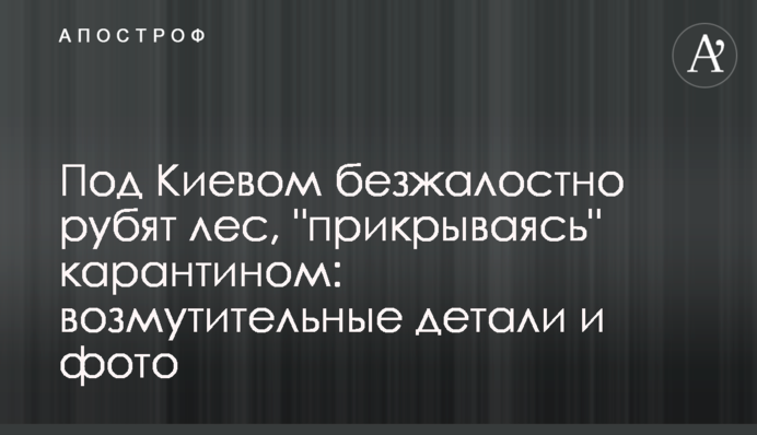 Під Києвом безжально рубають ліс, 