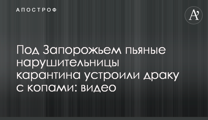 Под Запорожьем пьяные нарушительницы карантина устроили драку с копами: видео
