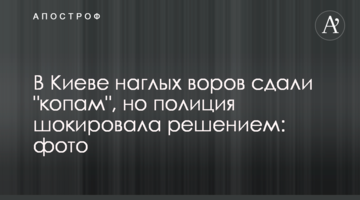 У Києві нахабних злодіїв здали "копам", але поліція шокувала рішенням: фото
