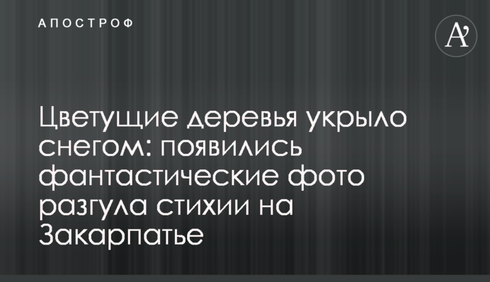 Цветущие деревья укрыло снегом: опубликованы фантастические фото разгула стихии на Закарпатье