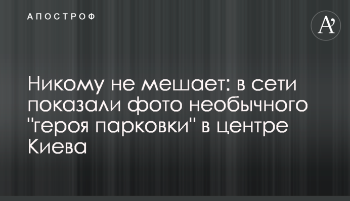 Нікому не заважає: в мережі показали фото незвичайного 