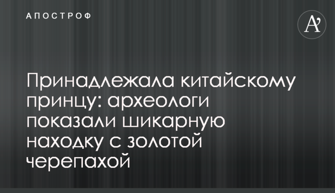 Принадлежала китайскому принцу: археологи показали шикарную находку с золотой черепахой