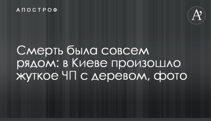Смерть була зовсім поруч: в Києві сталася жахлива НП з деревом, фото
