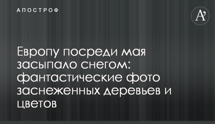 Европу посреди мая засыпало снегом: фантастические фото заснеженных деревьев и цветов
