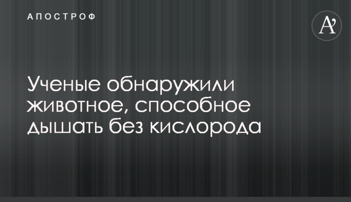 Вчені виявили істоту, здатну дихати без кисню