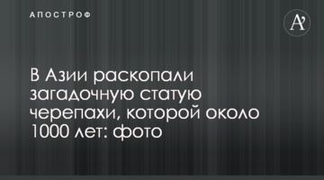 В Азії розкопали загадкову статую черепахи, якій близько 1000 років: фото