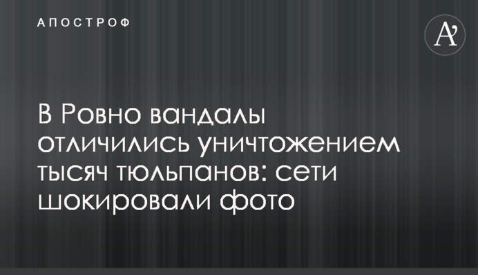 У Рівному вандали відзначилися знищенням тисяч тюльпанів: мережі шокували фото
