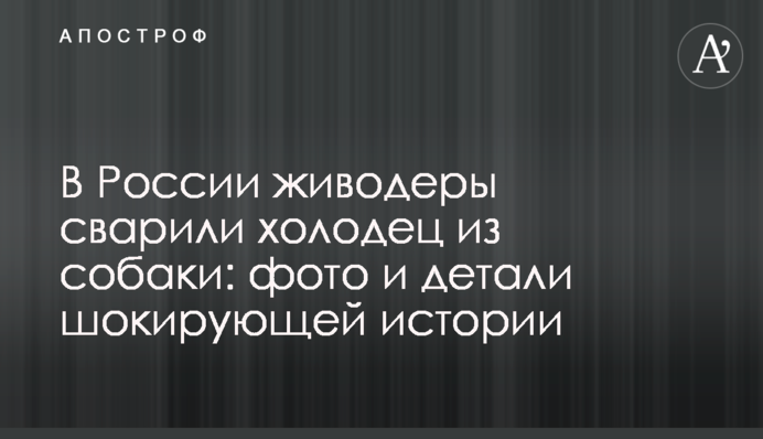 У Росії шкуродери зварили холодець з собаки: фото і деталі шокуючої історії