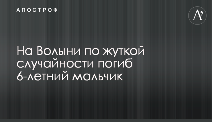 На Волыни по жуткой случайности погиб 6-летний мальчик