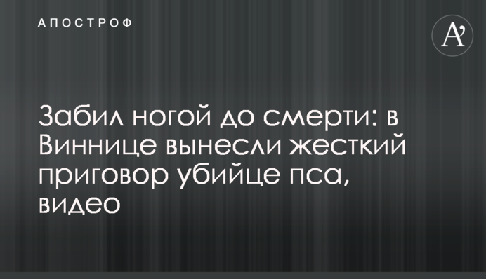 Забил ногой до смерти: в Виннице вынесли жесткий приговор убийце пса, видео