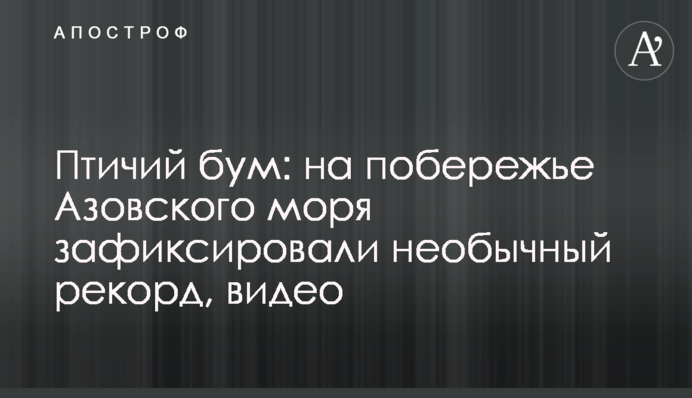 Птичий бум: на побережье Азовского моря зафиксировали необычный рекорд, видео