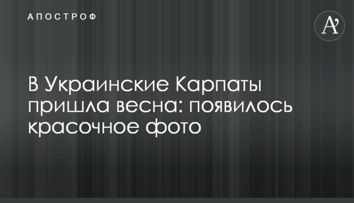 В Українські Карпати прийшла весна: з'явилося барвисте фото