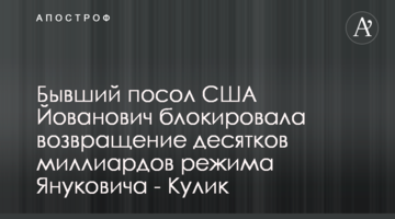 Бывший посол США Йованович блокировала возвращение десятков миллиардов режима Януковича - Кулик
