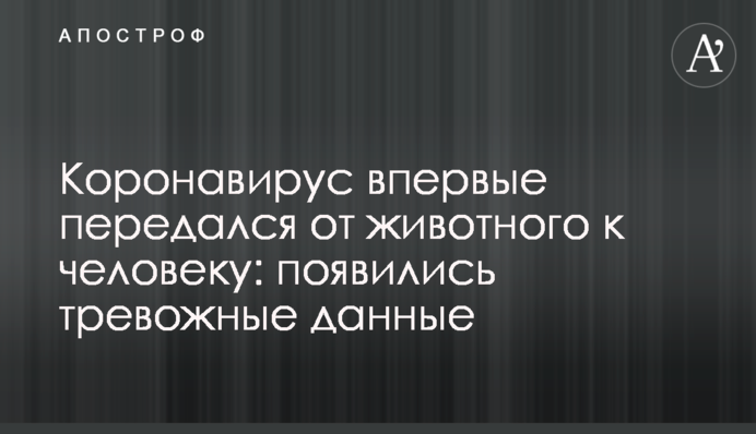 Коронавирус впервые передался от животного к человеку: появились тревожные данные
