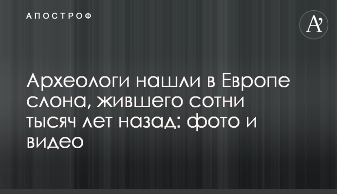 Археологи нашли в Европе слона, жившего сотни тысяч лет назад: фото и видео