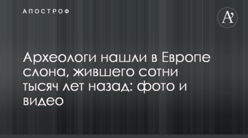 Археологи знайшли в Європі слона, що жив сотні тисяч років тому: фото і відео