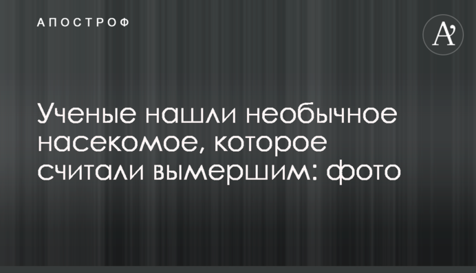 ​Вчені знайшли незвичайну комаху, яку вважали вимерлою: фото
