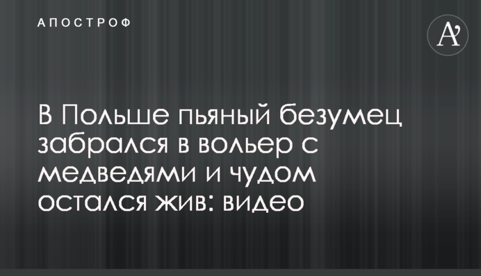 В Польше пьяный безумец забрался в вольер с медведями и чудом остался жив: видео