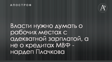 Власти нужно думать о рабочих местах с адекватной зарплатой, а не о кредитах МВФ - нардеп Плачкова