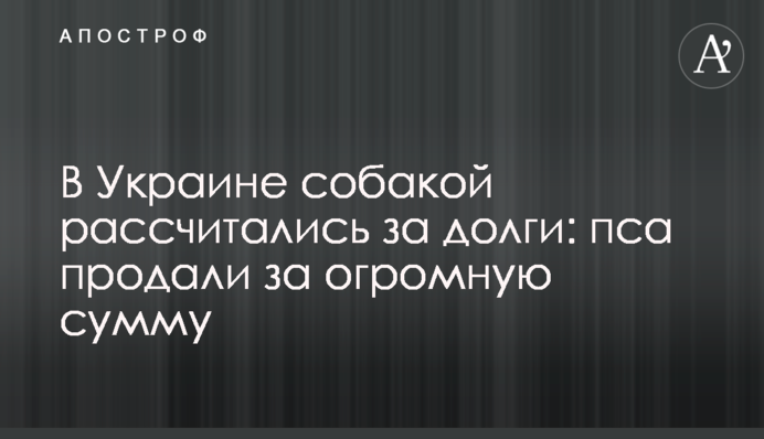 В Украине собакой рассчитались за долги: пса продали за огромную сумму