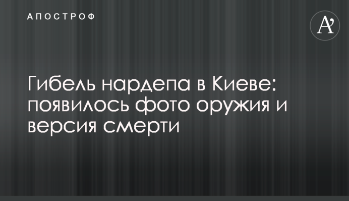 Гибель нардепа в Киеве: появилось фото оружия и версия смерти