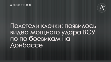 Полетели клочки: появилось видео мощного удара ВСУ по по боевикам на Донбассе