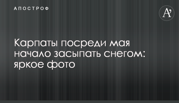 Карпати в середині травня почало засипати снігом: яскраве фото