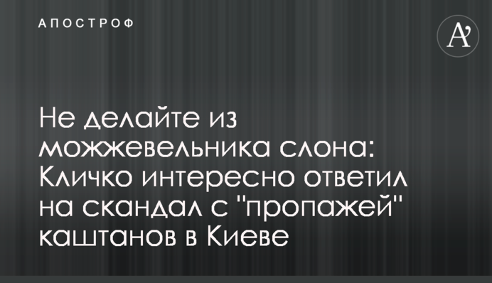 Не робіть з ялівцю слона: Кличко цікаво відповів на скандал з 
