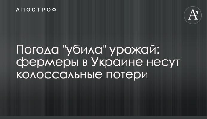 Погода "вбила" урожай: фермери в Україні несуть колосальні втрати