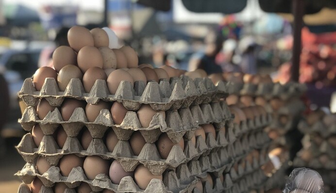Где яйца, молоко и крупы? Эксперт указал на опасную тенденцию в аграрном секторе Украины