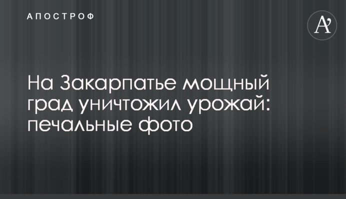 На Закарпатті потужний град знищив урожай: сумні фото