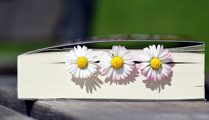 Прикольные поздравления с Троицей: оригинальные пожелания родным, коллегам и друзьям