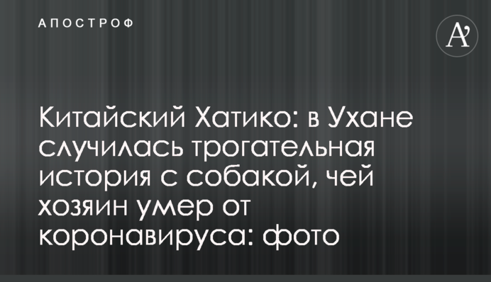 Китайский Хатико: в Ухане случилась трогательная история с собакой, чей хозяин умер от коронавируса, фото