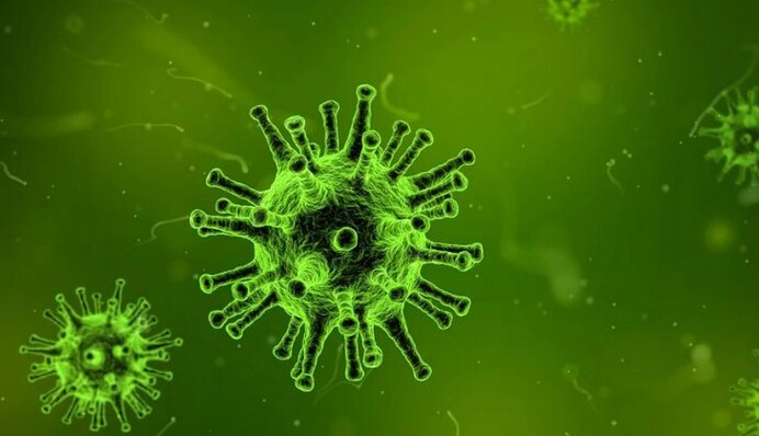 Как появился первый вирус на Земле: ученые выдвинули несколько теорий