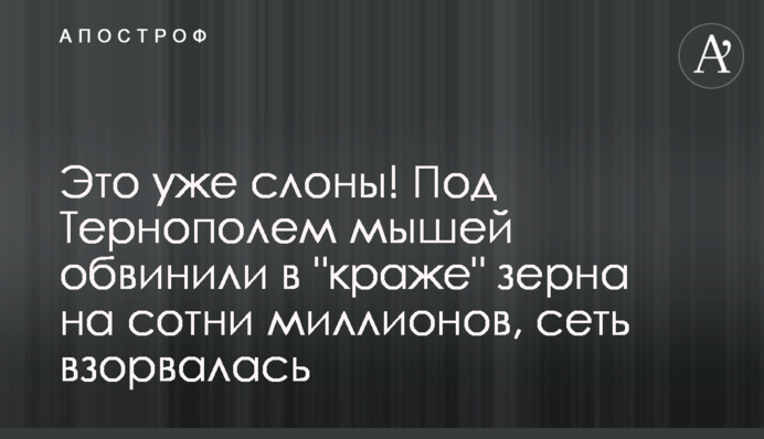 Це вже слони! Під Тернополем мишей звинуватили в 