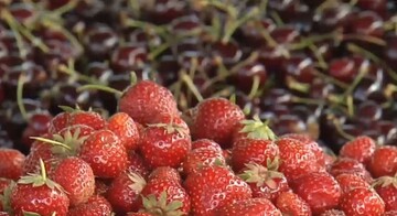 Журналист рассказал о крупном долге Геруса семье экс-главы ГПУ Луценко