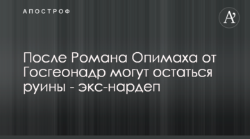 После Романа Опимаха от Госгеонадр могут остаться руины - экс-нардеп
