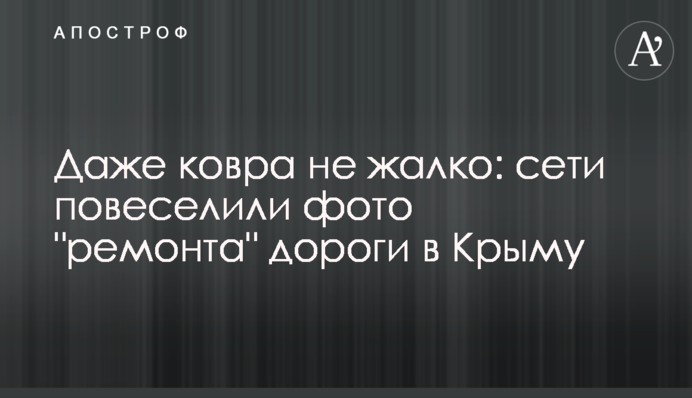 Навіть килима не шкода: мережі повеселили фото 