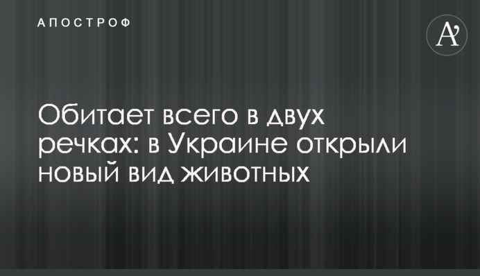 Мешкає лише у двох річках: в Україні відкрили новий вид тварин