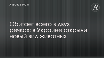 Мешкає лише у двох річках: в Україні відкрили новий вид тварин