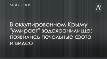 В оккупированном Крыму "умирает" водохранилище: появились печальные фото и видео