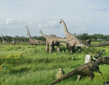 У Китаї знайшли сліди динозаврів, залишені майже 200 млн років тому: вражаючі фото