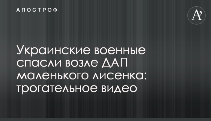 ​Українські військові врятували біля ДАП маленьке лисеня: зворушливе відео