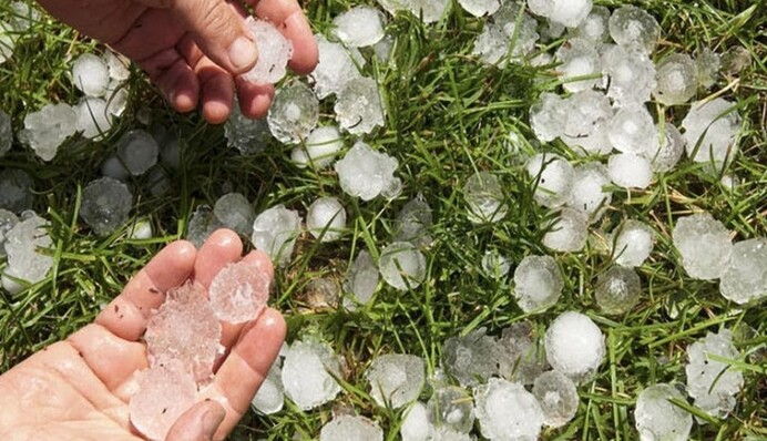 На Волыни мощный град уничтожил урожай: опубликованы фото и видео