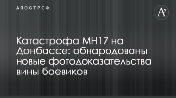 Катастрофа МН17 на Донбассе: обнародованы новые фотодоказательства вины боевиков
