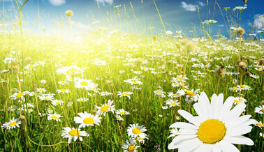 В Україну прийшла тропічна погода: названо найспекотніші області