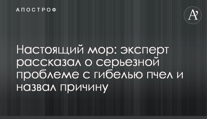 Настоящий мор: эксперт рассказал о серьезной проблеме с гибелью пчел и назвал причину