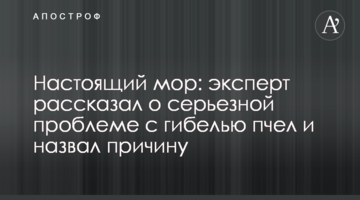 Настоящий мор: эксперт рассказал о серьезной проблеме с гибелью пчел и назвал причину