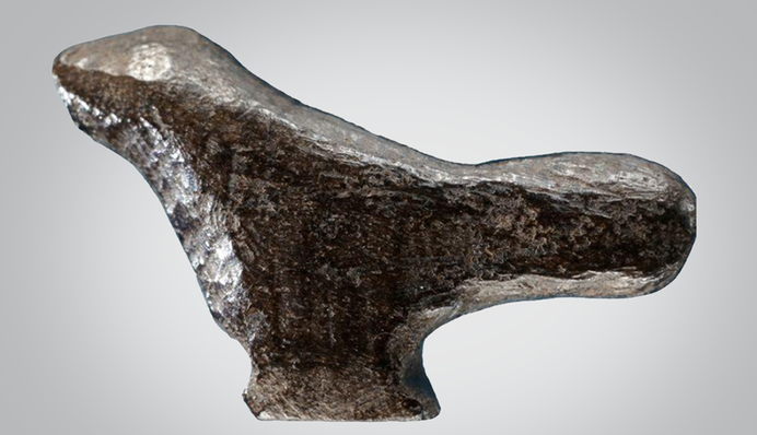 Птичка из далекого прошлого: археологи показали фото уникальной находки