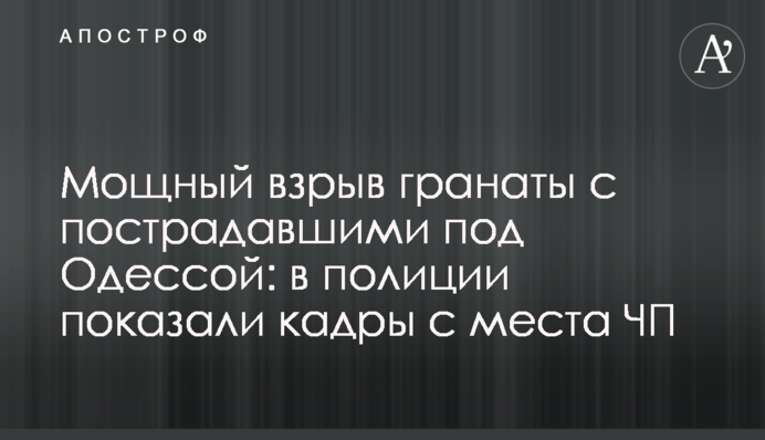 Потужний вибух гранати з постраждалими під Одесою: в поліції показали кадри з місця НП